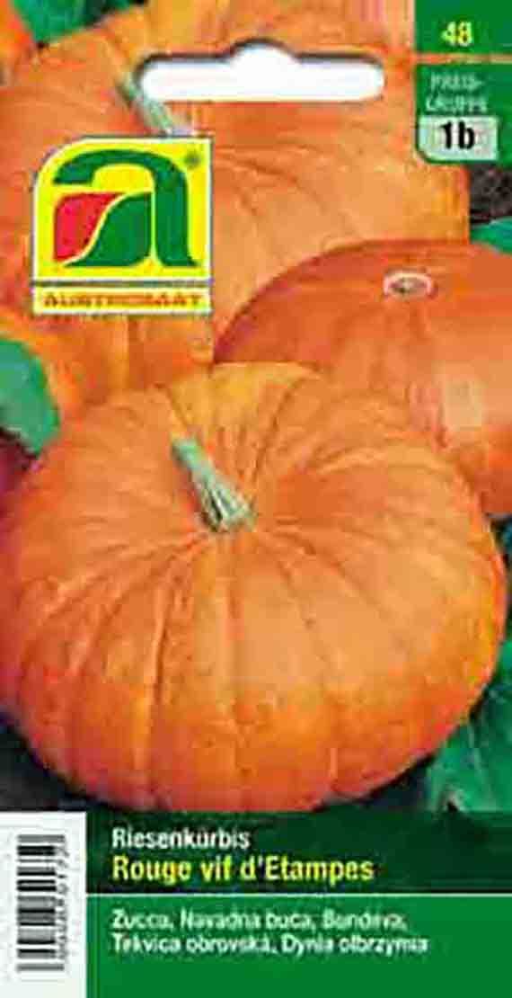 Speisekürbis Rouge vif d'Etampes
