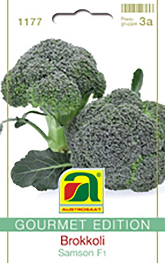 Brokkoli Parthenon F1