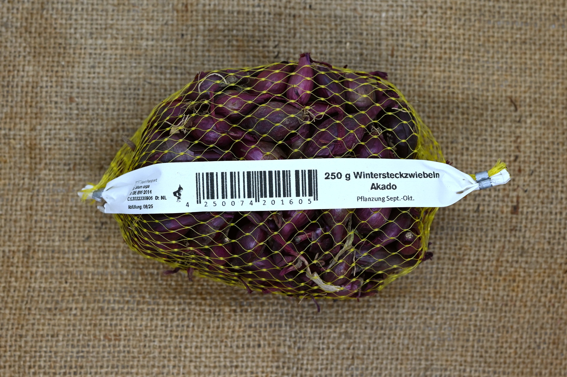 20160_Akado_250g Netzbeutel mit 250 g roten Wintersteckzwiebeln der Sorte Akado auf Juteuntergrund, Etikett mit Barcode und Hinweis 'Pflanzung Sept.–Okt.' sichtbar