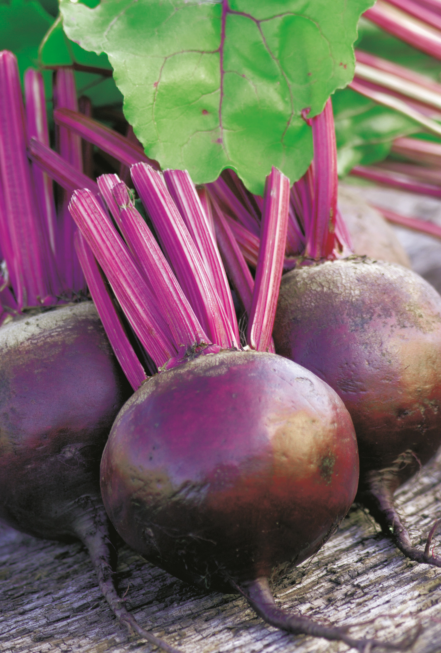 Rote Bete Rote Kugel