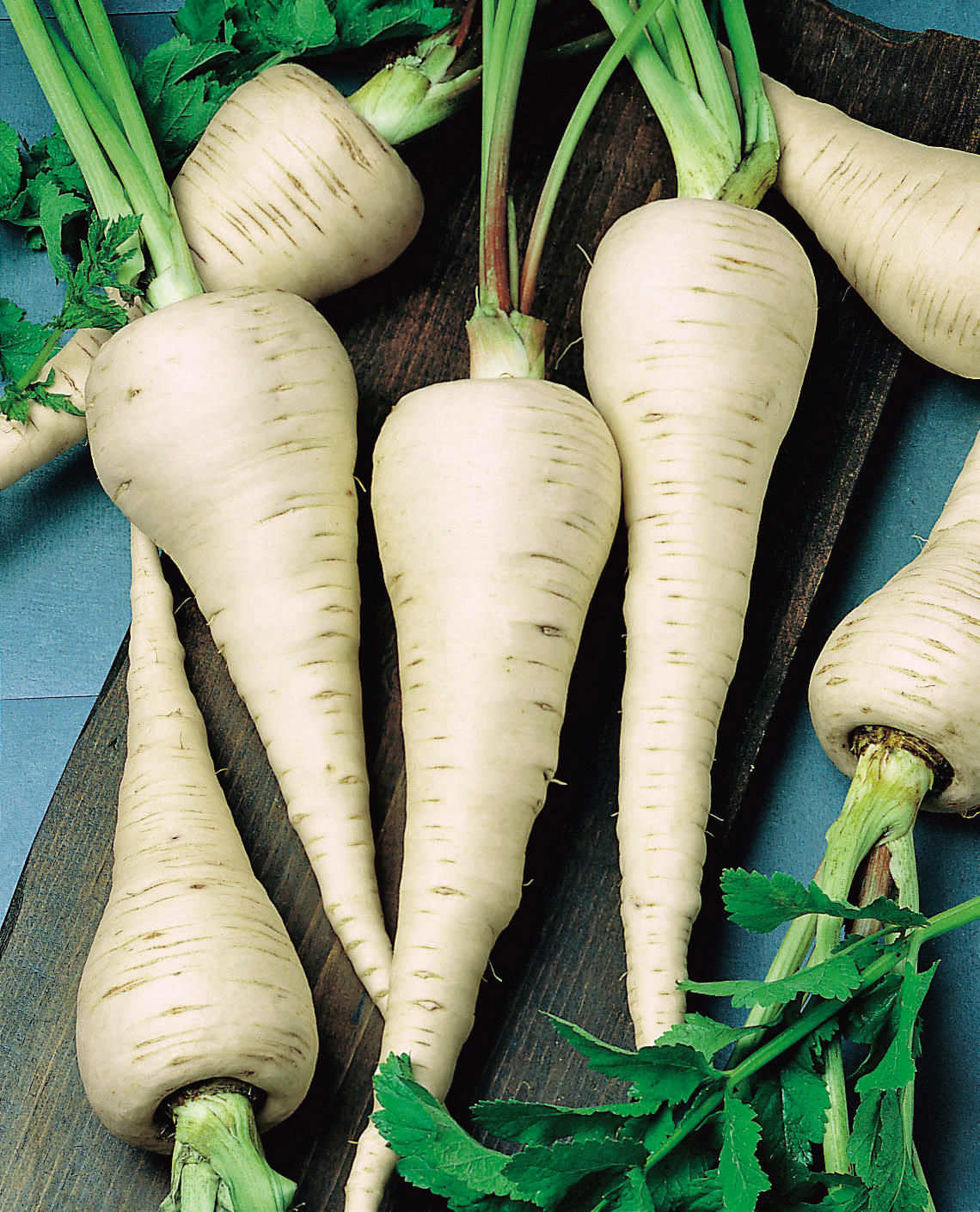 Pastinaken halblange