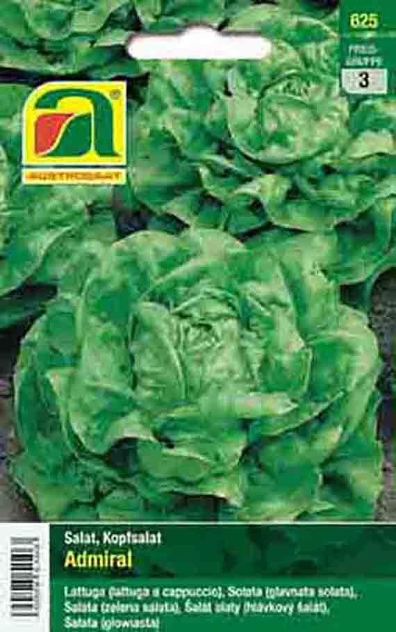 Kopfsalat Admiral