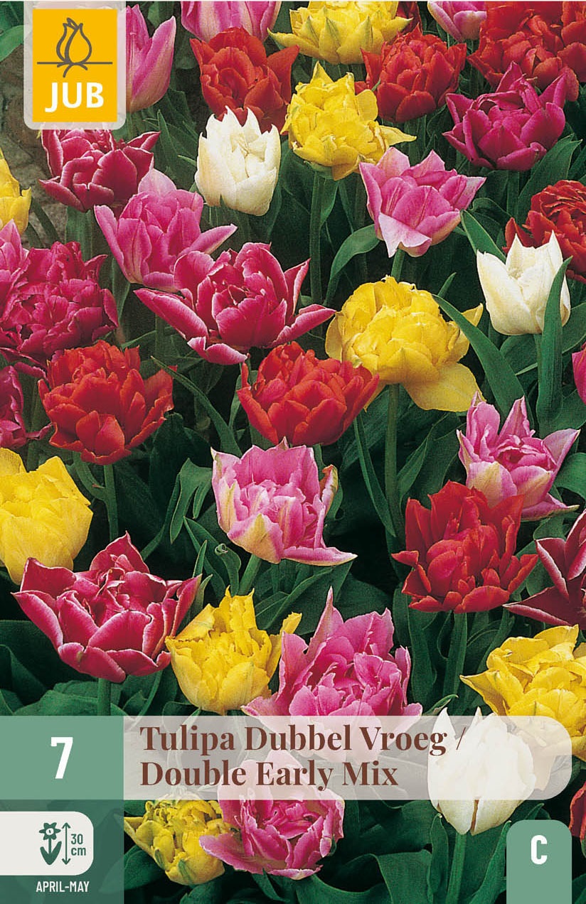 Gefüllte frühe Tulpen Mischung