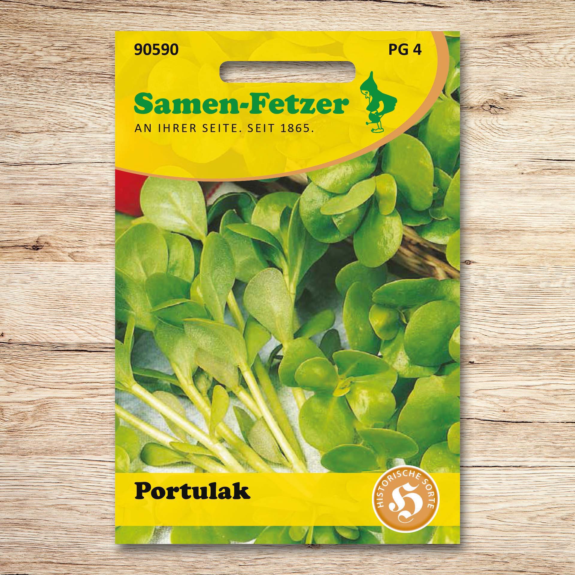 Portulak Sommerportulak