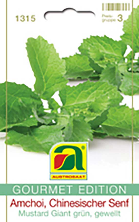 Amchoi Mustard Giant