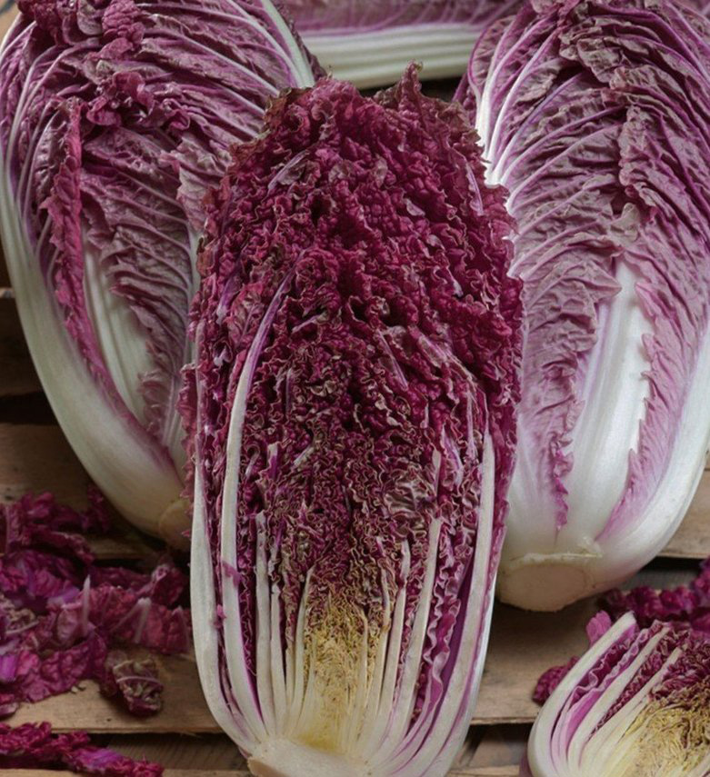 Chinakohl Scarvita F1