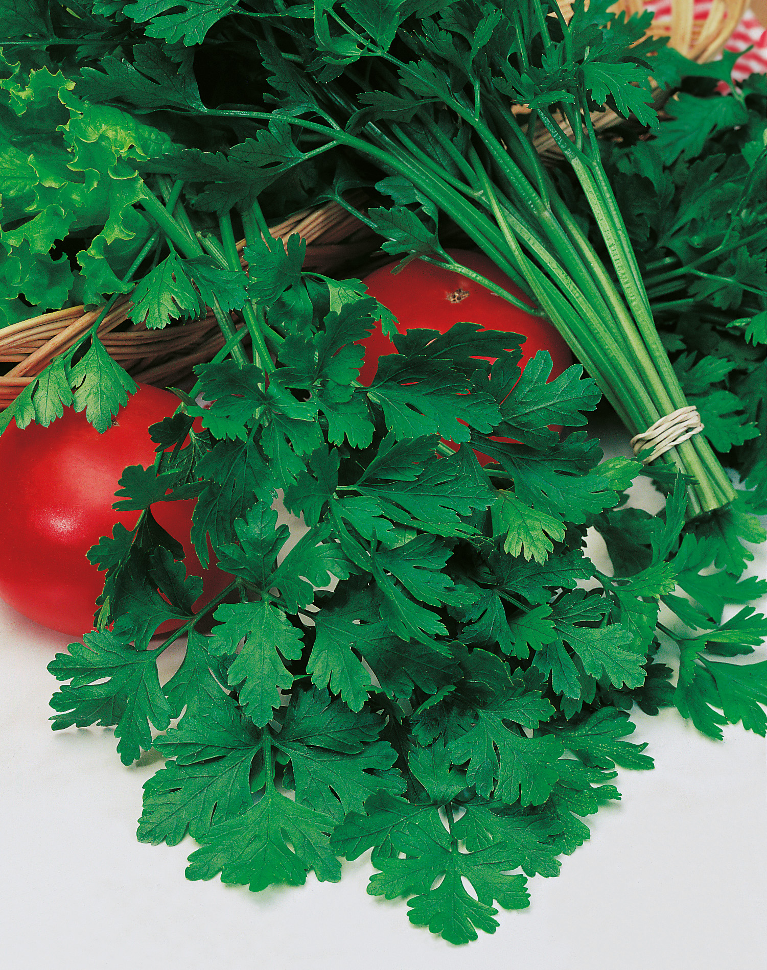 Petersilie Einfache Schnitt