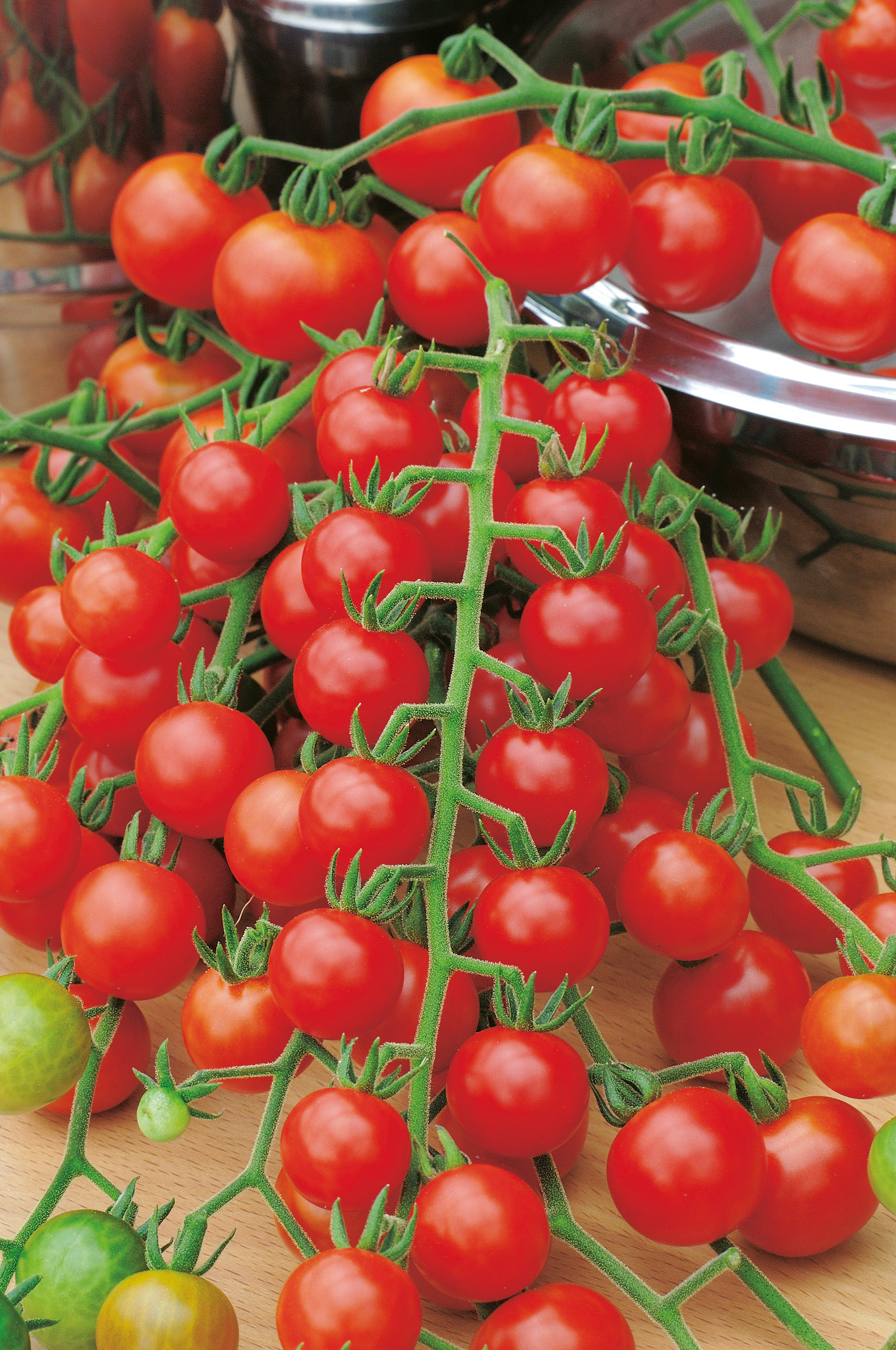 Obsttomaten Freude