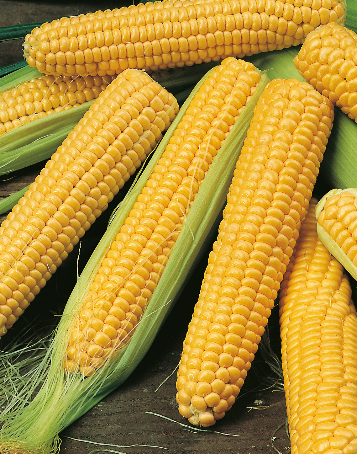 Zuckermais Golden Bantam