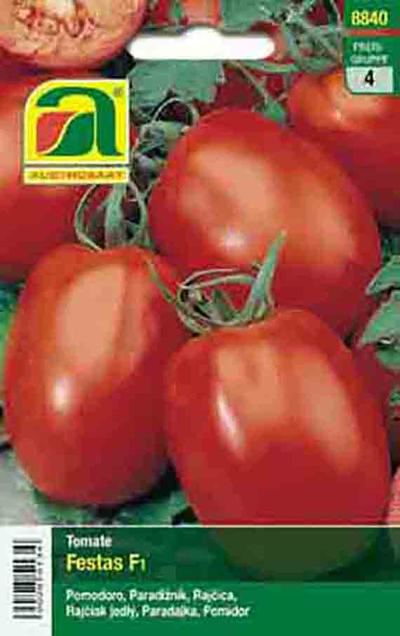 Tomaten Festas F1
