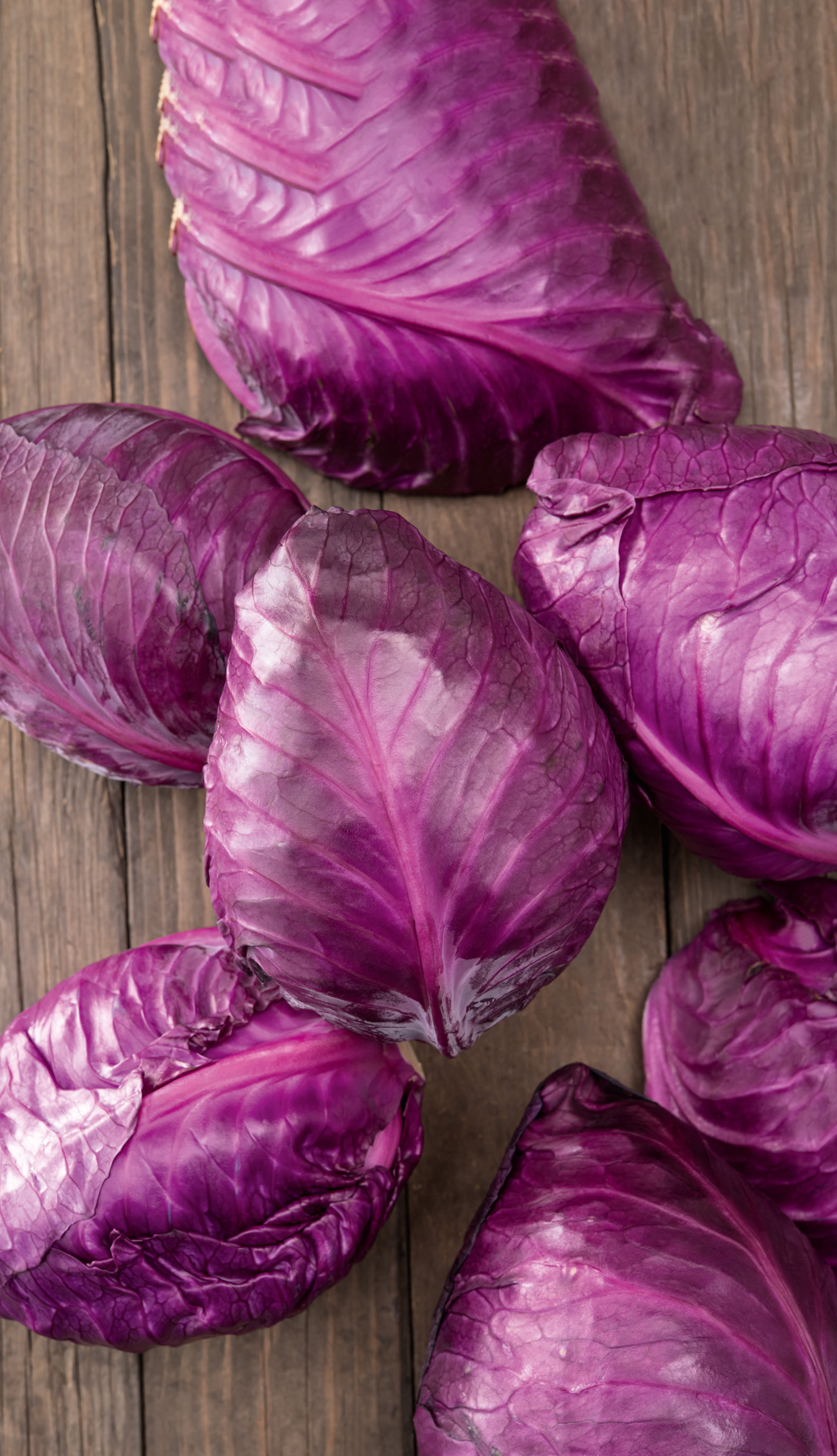 Rotkohl Red Flame