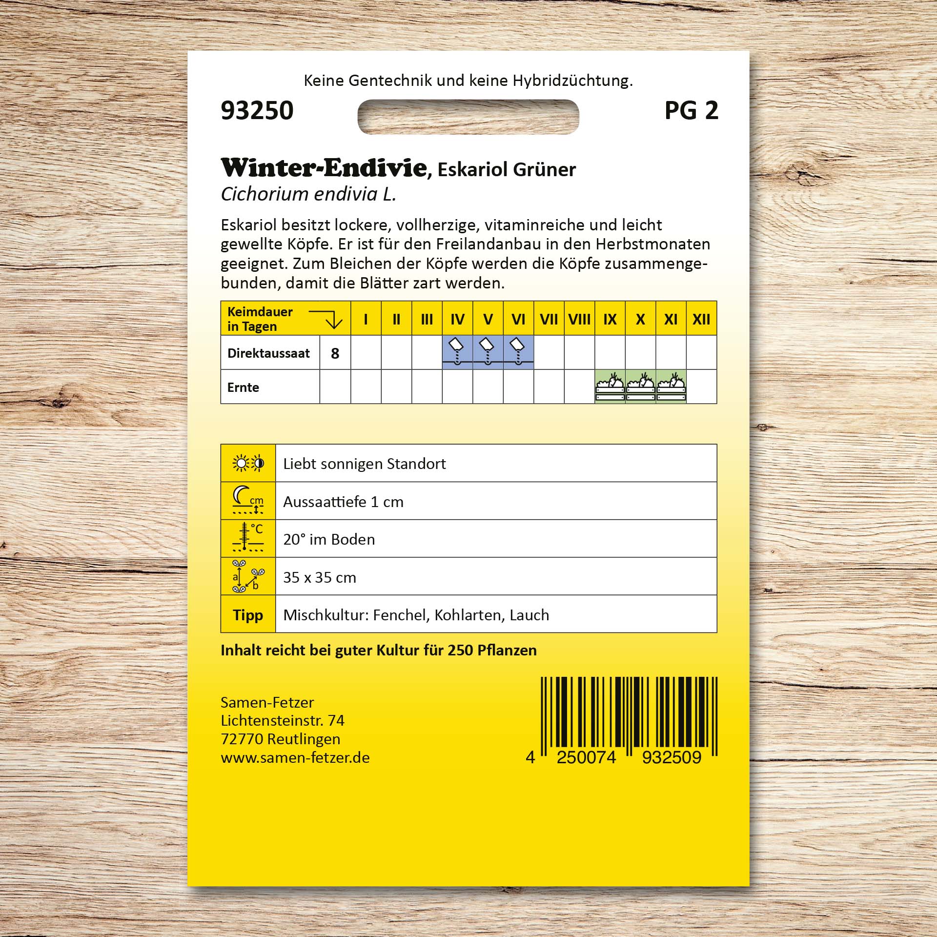 Winterendivien Eskariol Grüner