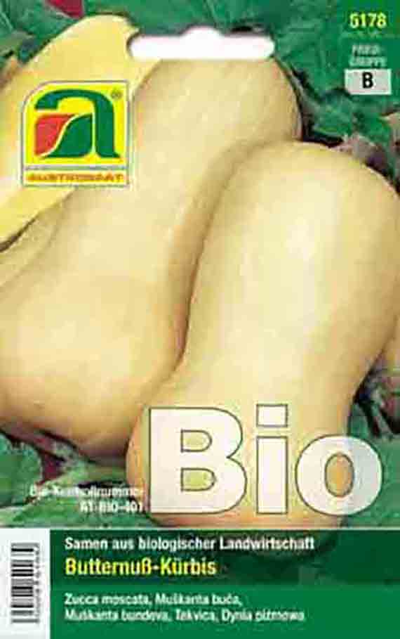 Kürbis (Bio) Butternut