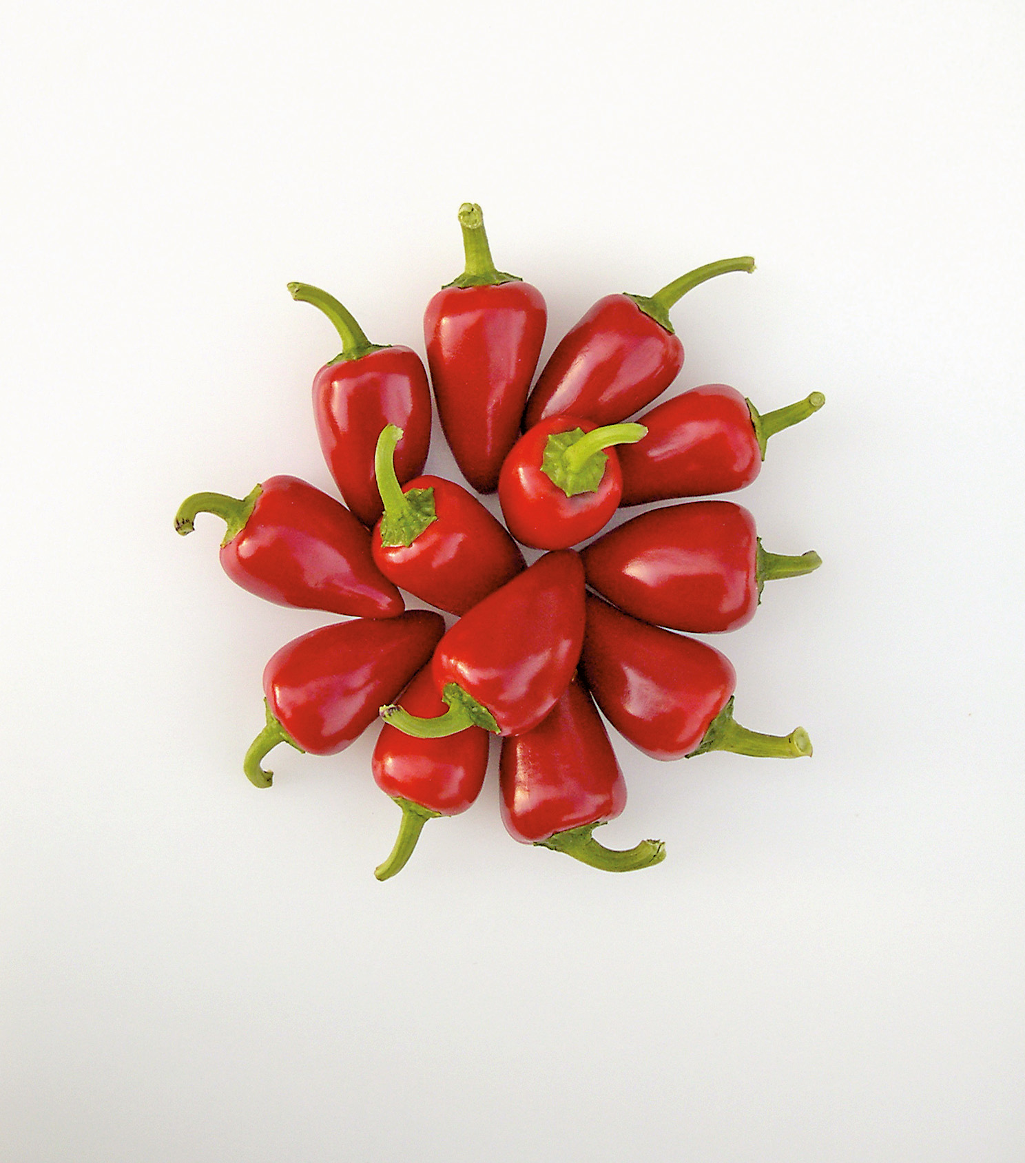 Gewürzpaprika (Bio) Chilli AS