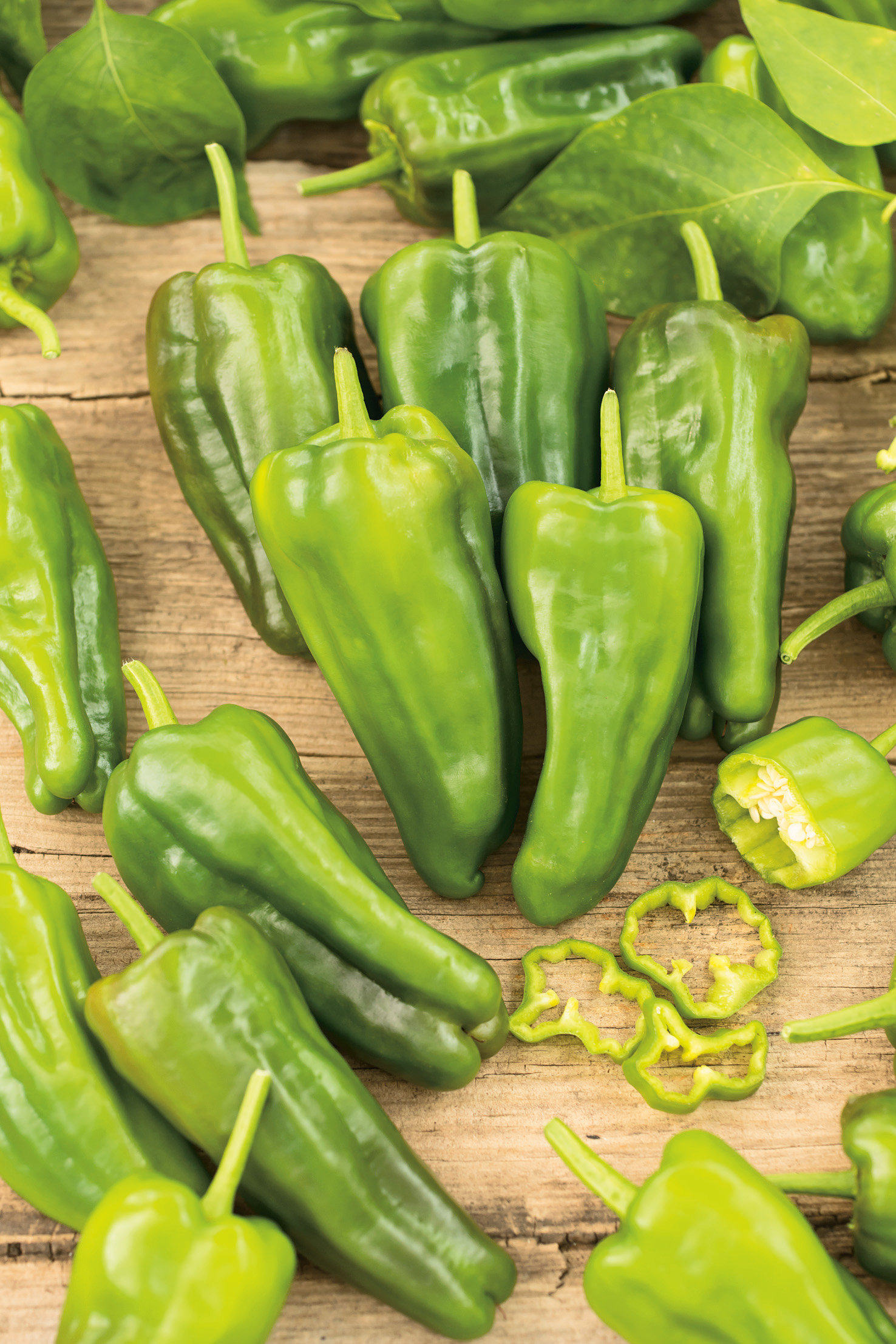 Bratpaprika Padron (Pimientos de Padron)