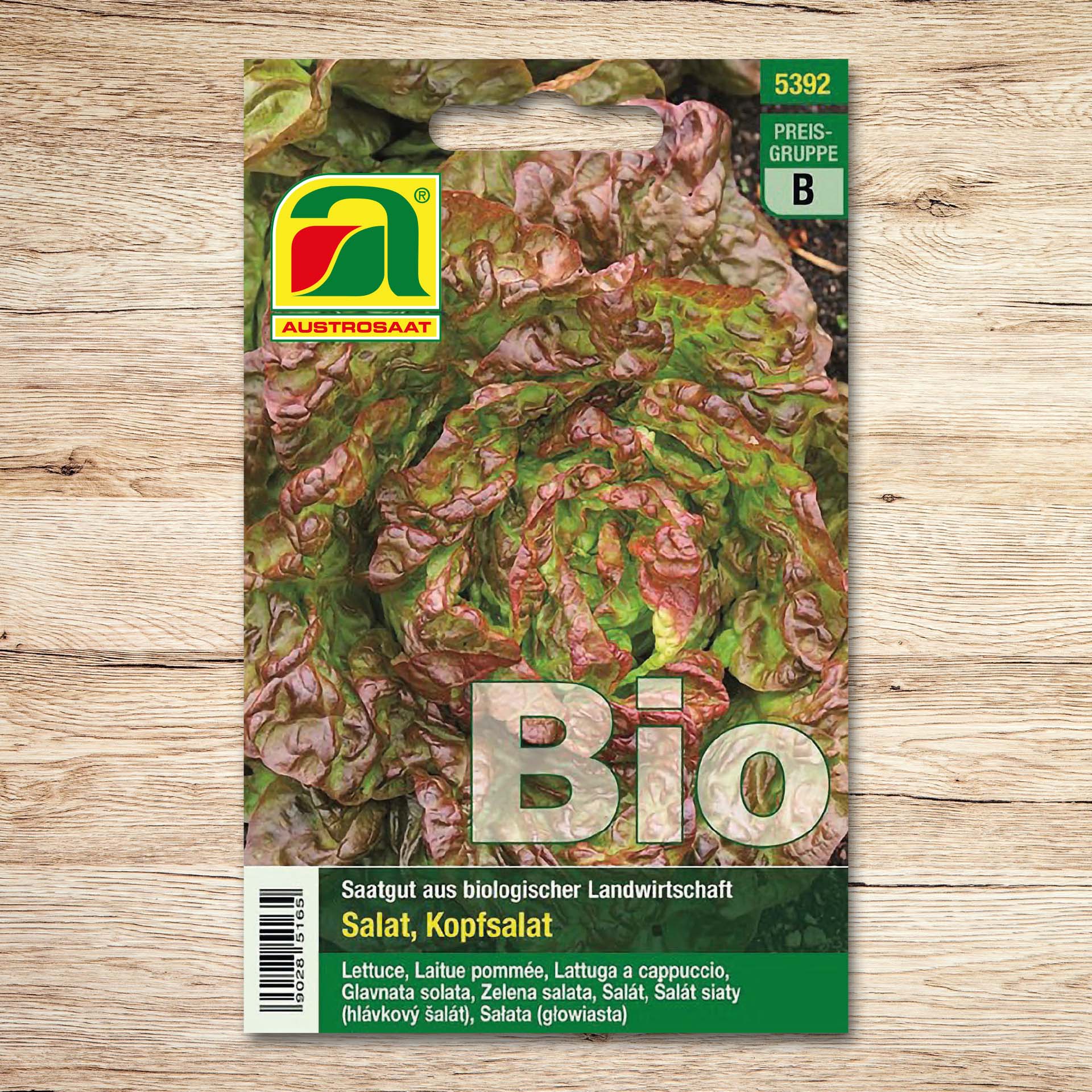 Kopfsalat (Bio) Merveille des quatre saisons