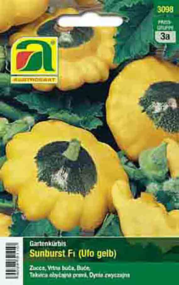 Kürbis Sunburst F1