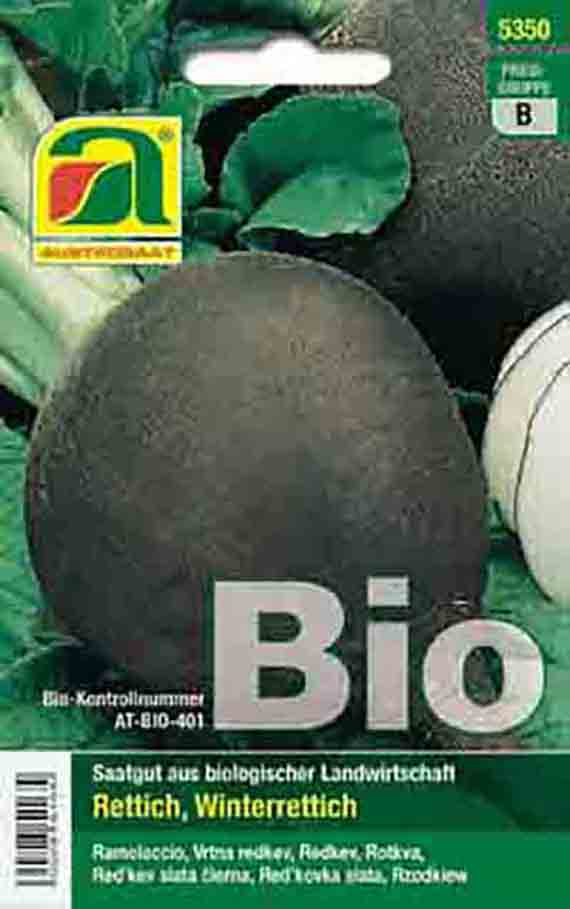 Rettich (Bio) Wiener Runder Kohlschwarzer