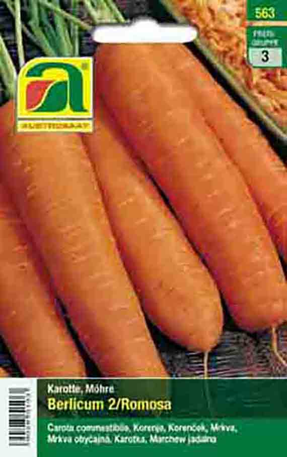 Möhren Berlicum 2/Romosa