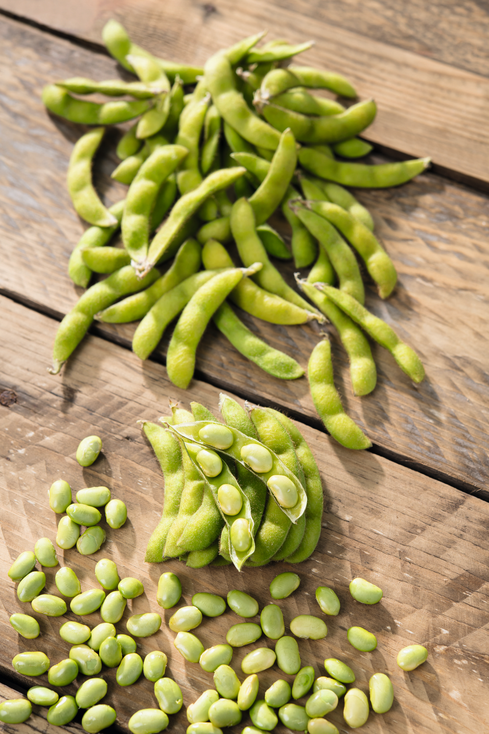 Sojabohne (Bio) Edamame Green Schell