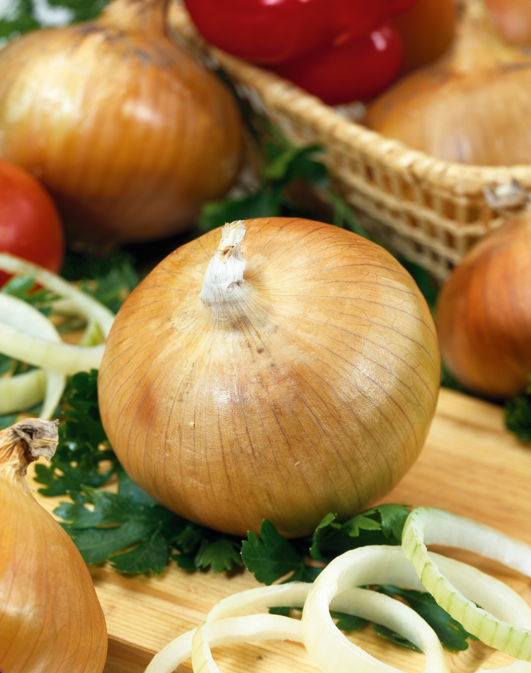 Frühlingszwiebeln Senshyu Yellow, gelbe