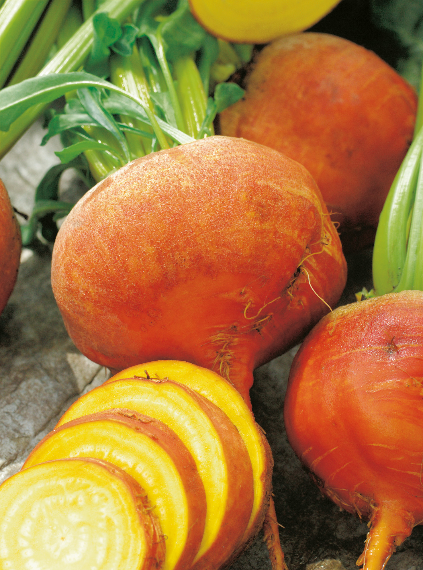 Gelbe Bete Burpees Golden