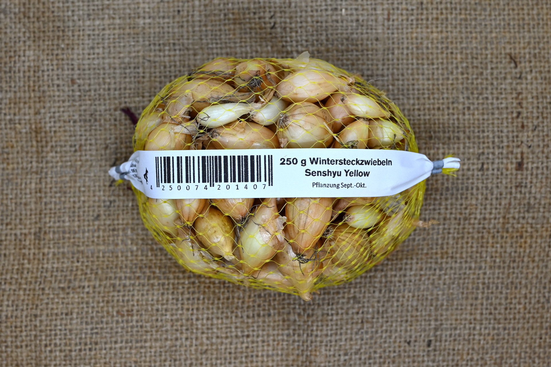 20140_Senshyu_Yellow_250g Netzbeutel mit 250 g Wintersteckzwiebeln der Sorte Senshyu Yellow auf Jutehintergrund, Sicht auf Etikett mit Barcode und Pflanzhinweis (Pflanzung Sept.–Okt.).