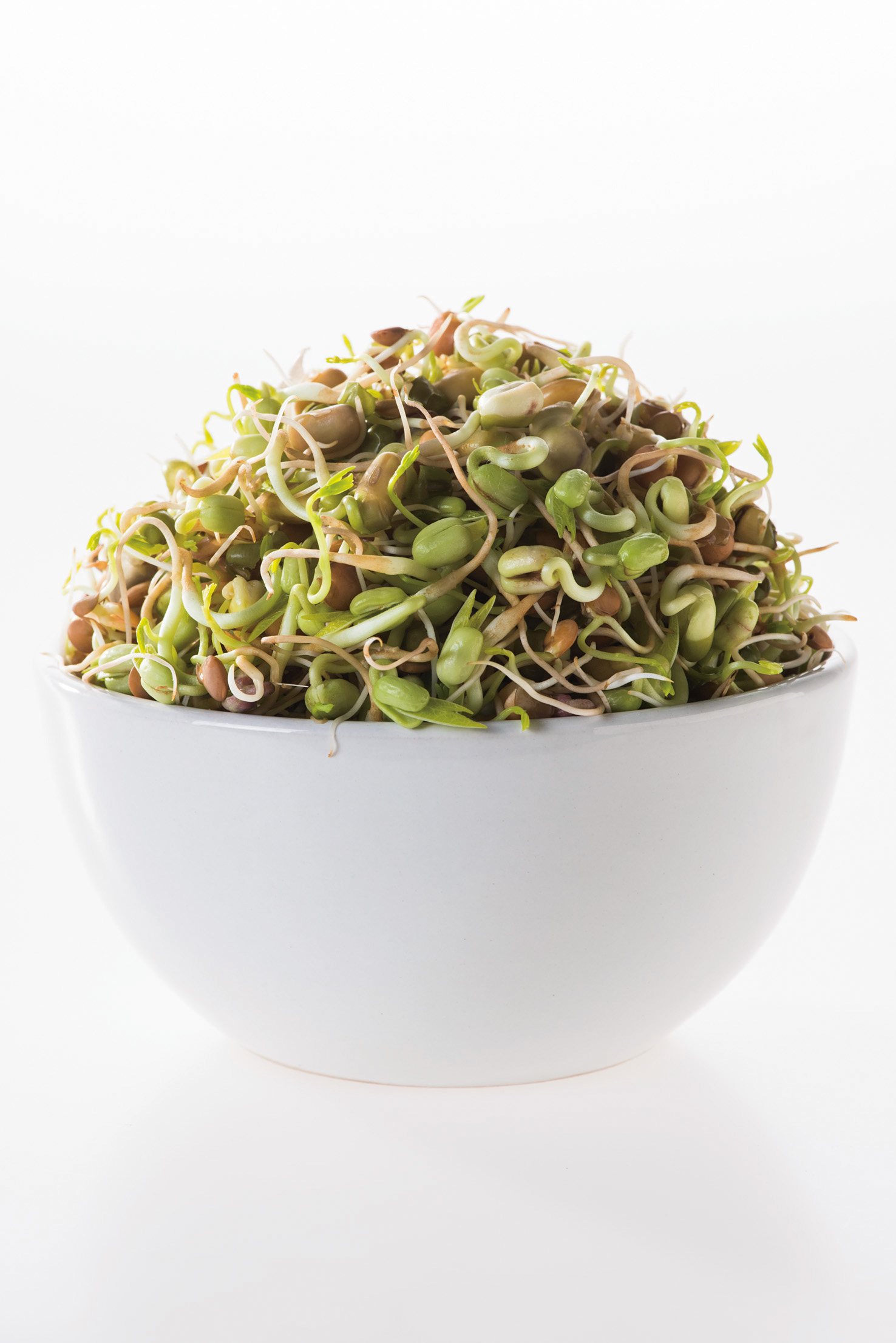 Keimsprossen (Bio) Mischung