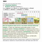 Brokkoli (Bio) Calabrese Natalino