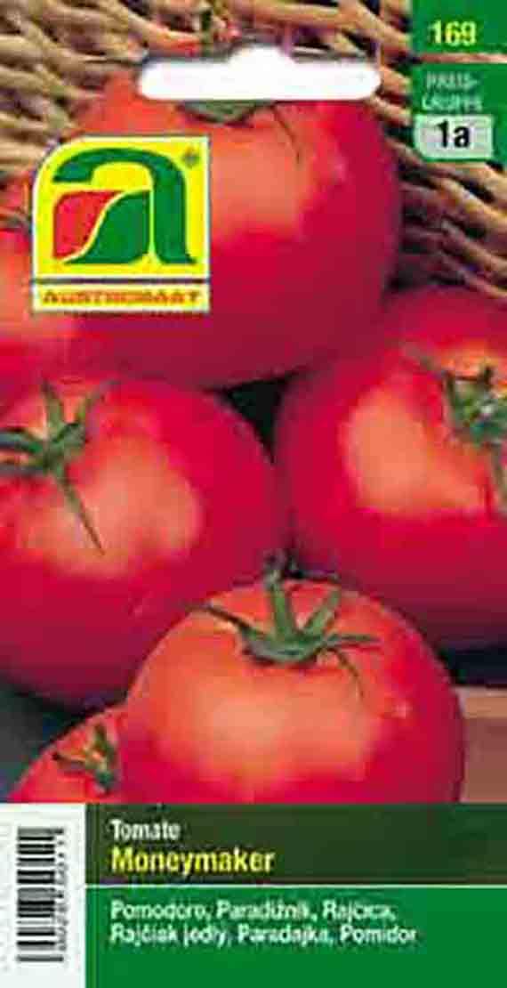 Tomaten Moneymaker