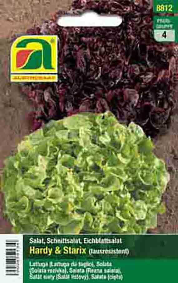 Eichblattsalat Duopack rot und grün