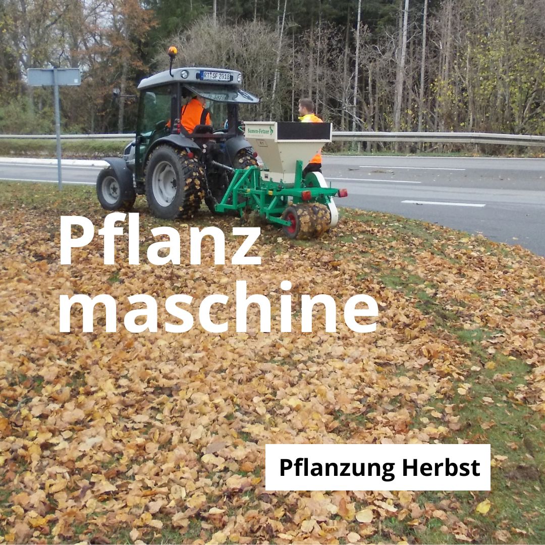 Pflanzmaschine im Herbst