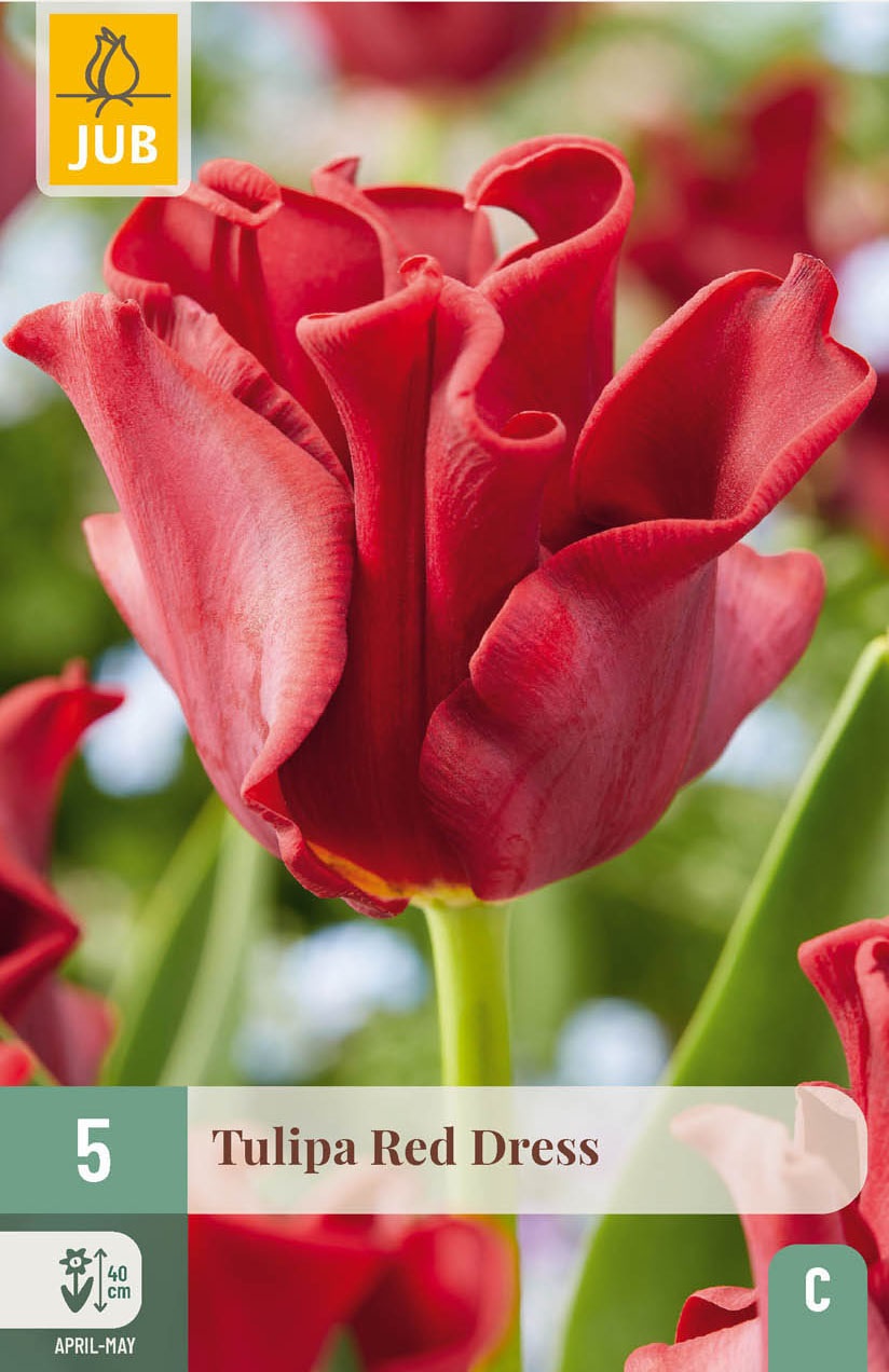 Einfache späte Tulpen Red Dress