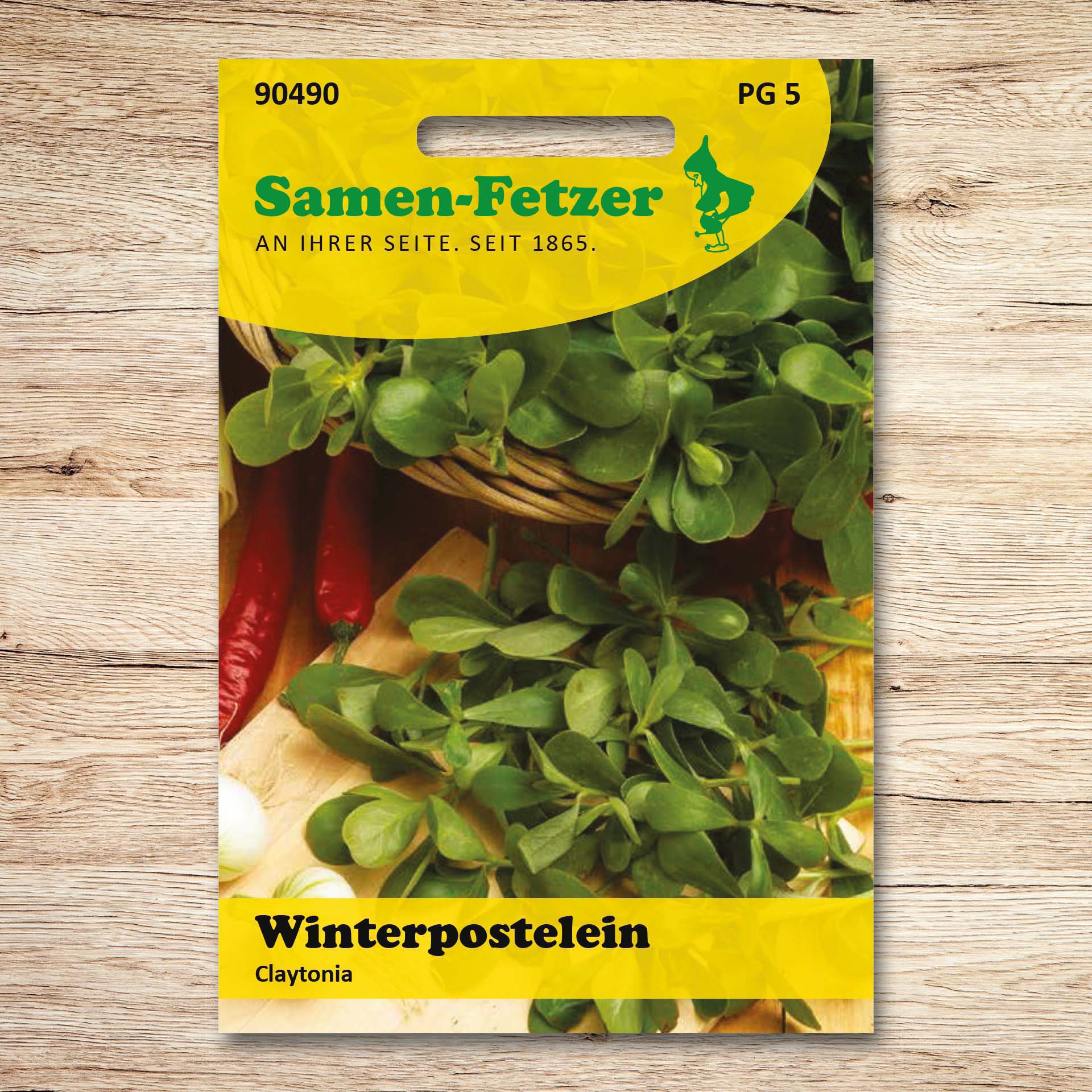 Winterpostelein Claytonia