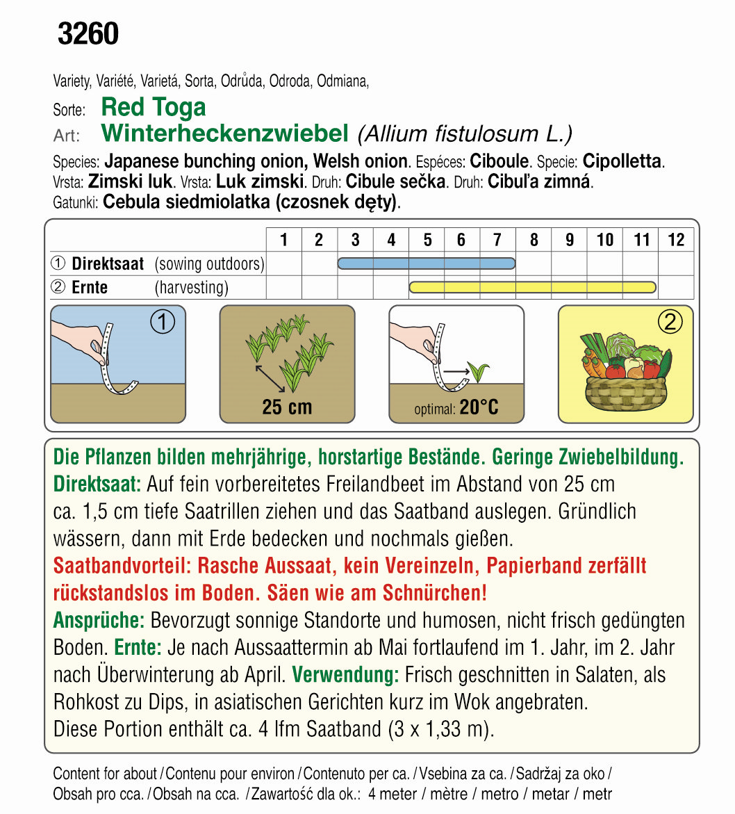 Saatband Winterheckenzwiebeln Red Toga