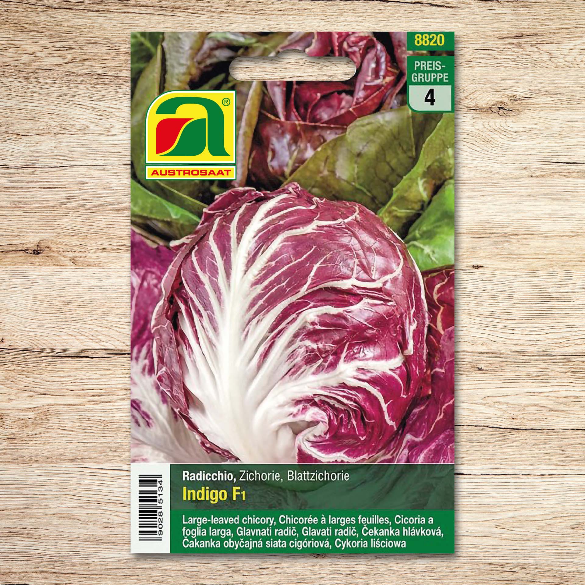 Radicchio Indigo F1