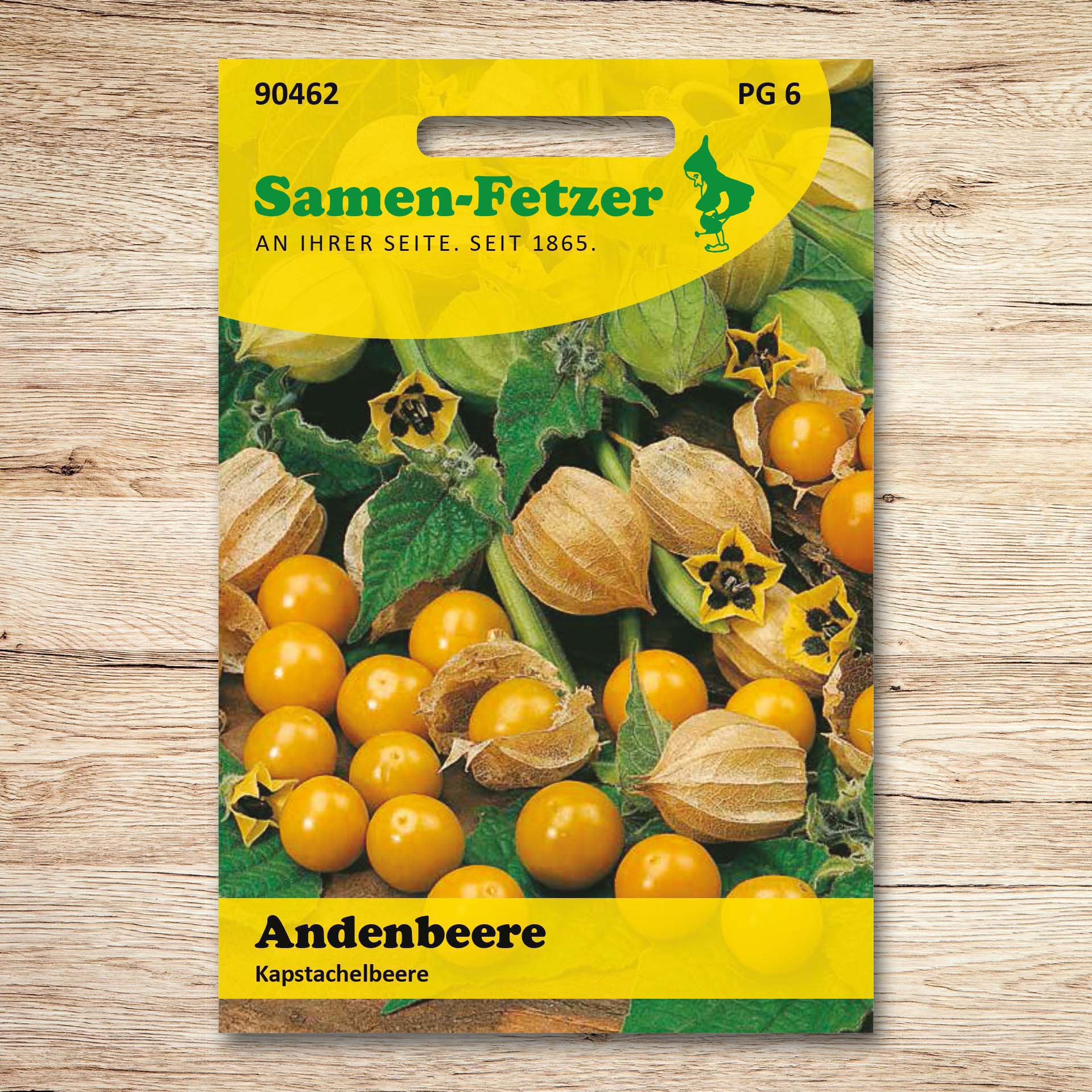 Andenbeeren Kapstachelbeeren