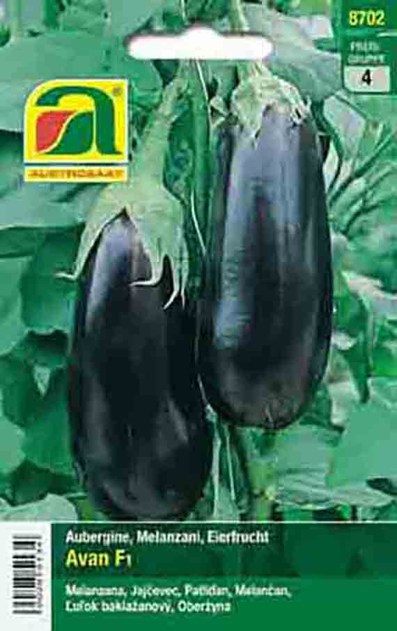 Eierfrucht Teti F1 (Melanzani)