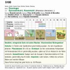 Rosenkohl (Bio) Groninger