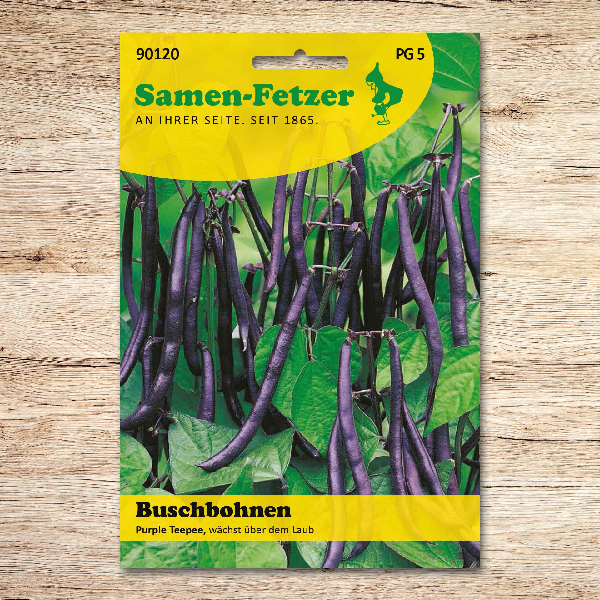 Buschbohnen Purple Teepee