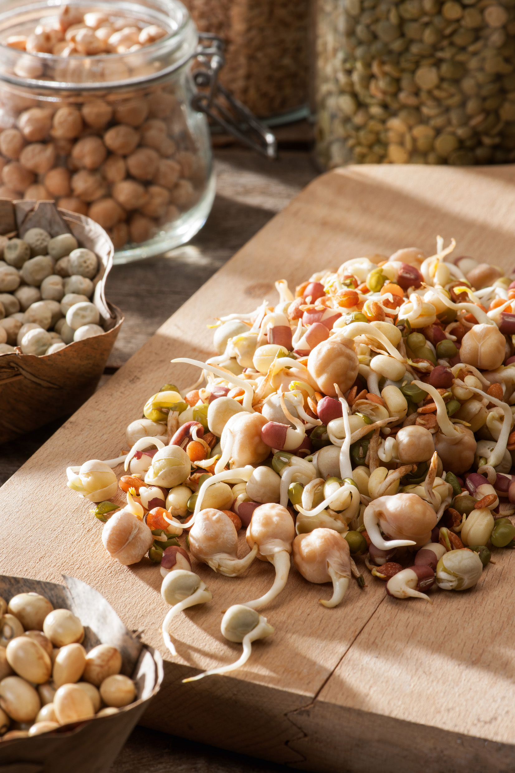 Keimsprossen (Bio) Mungo