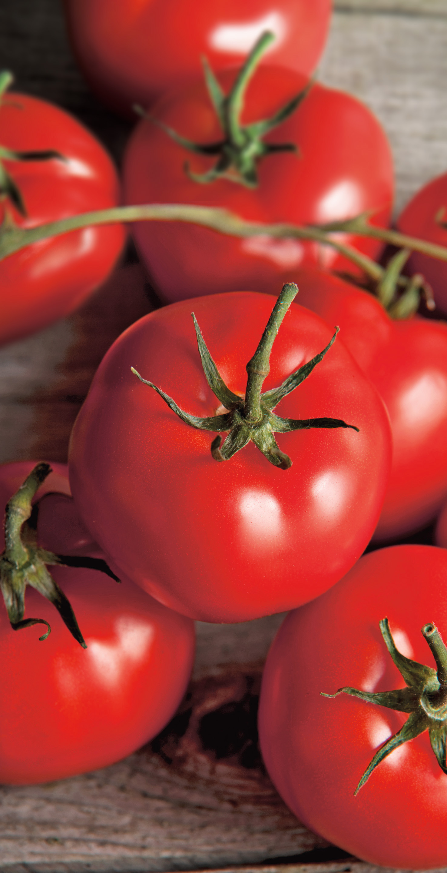 Tomaten Matina
