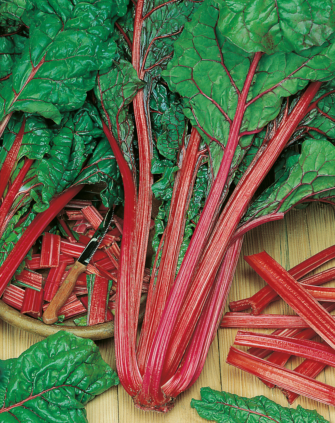 Mangold Rhubarb Chard