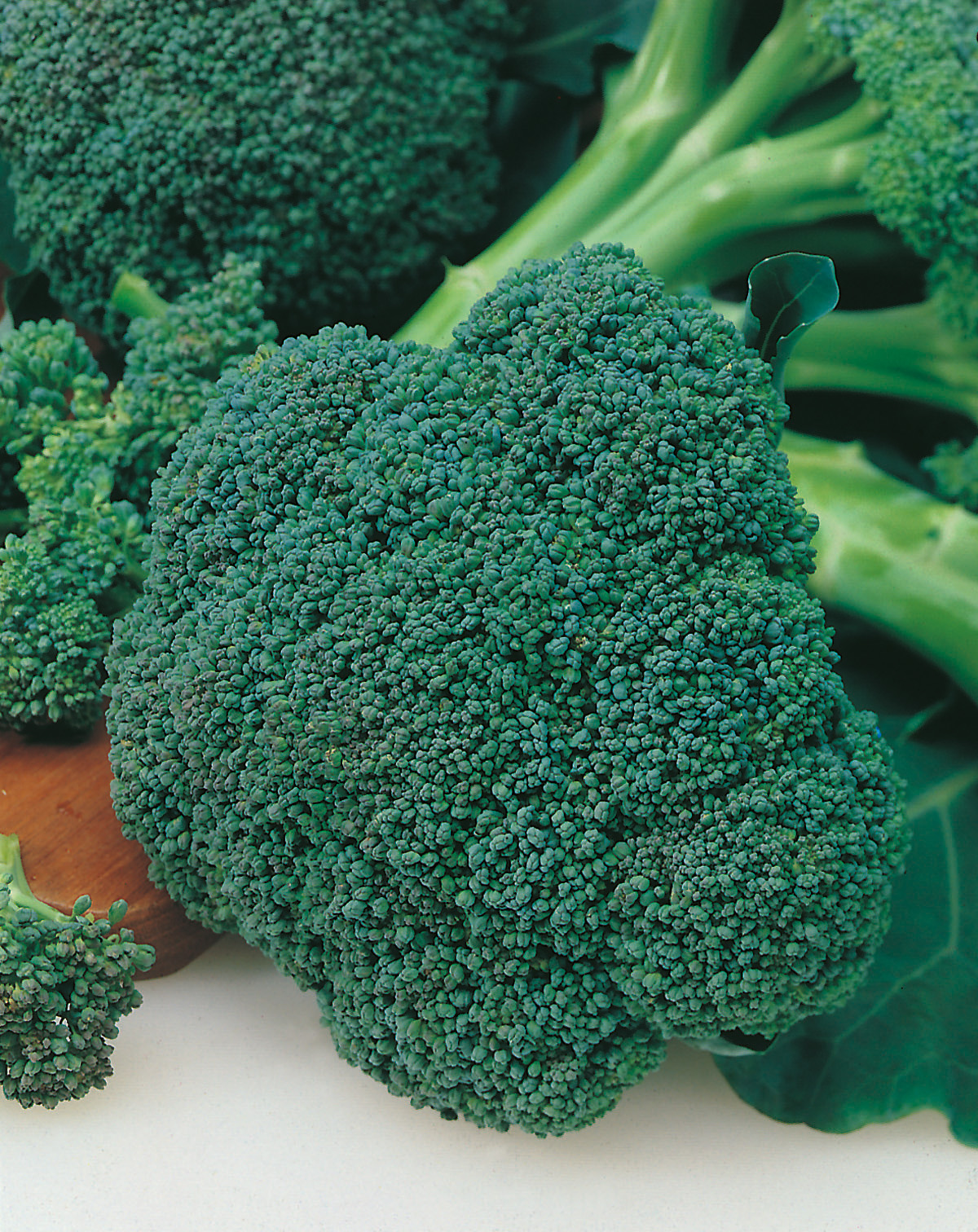 Brokkoli (Bio) Calabraise