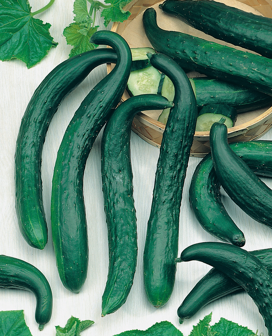 Freilandgurken Chinese Slangen (Chinesische Schlangen), Sparpackung