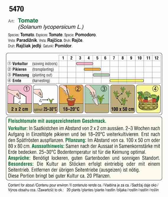 Tomate (Bio) Berner Rose
