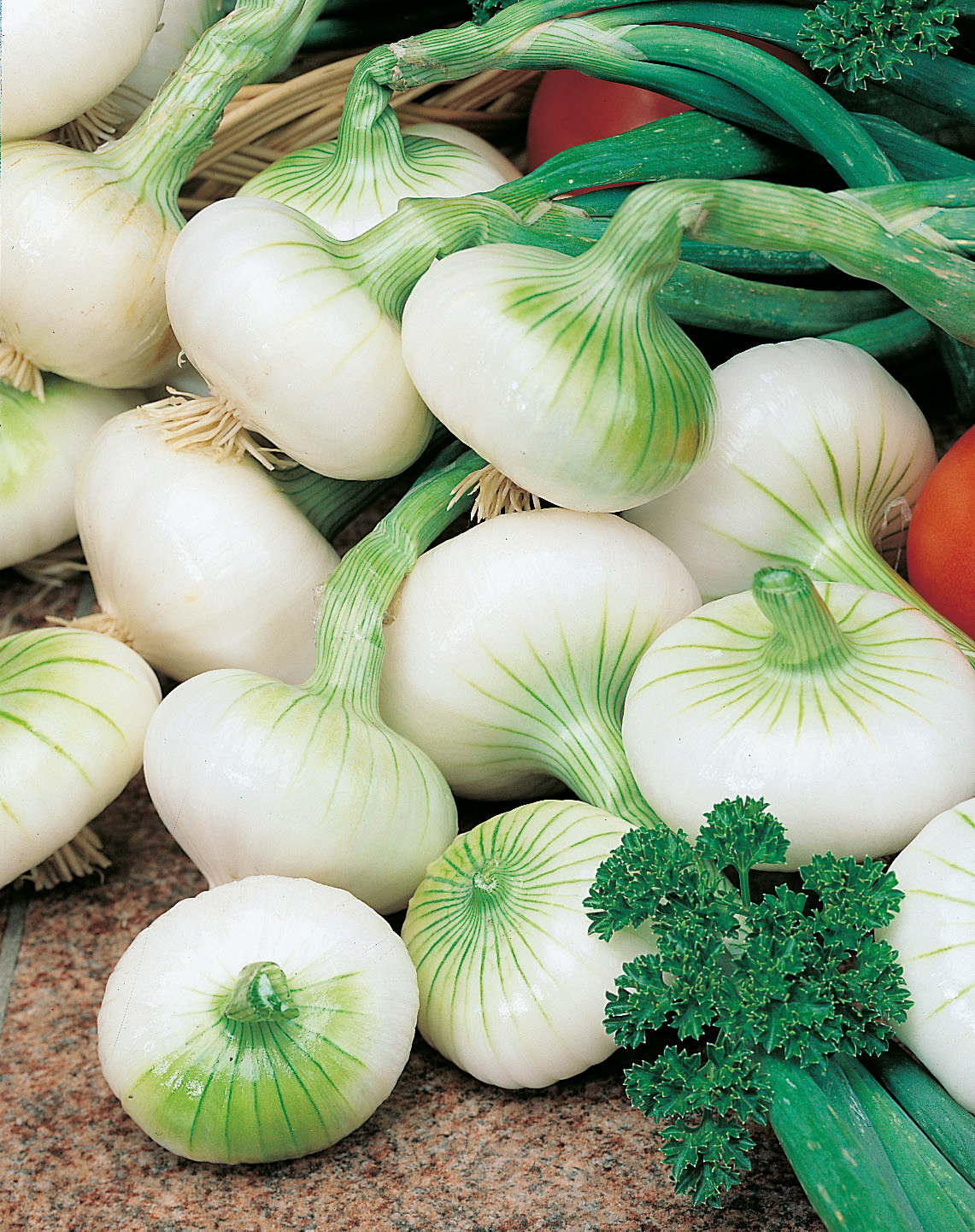 Frühlingszwiebeln weiße