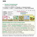Knollenfenchel (Bio) De Florencia