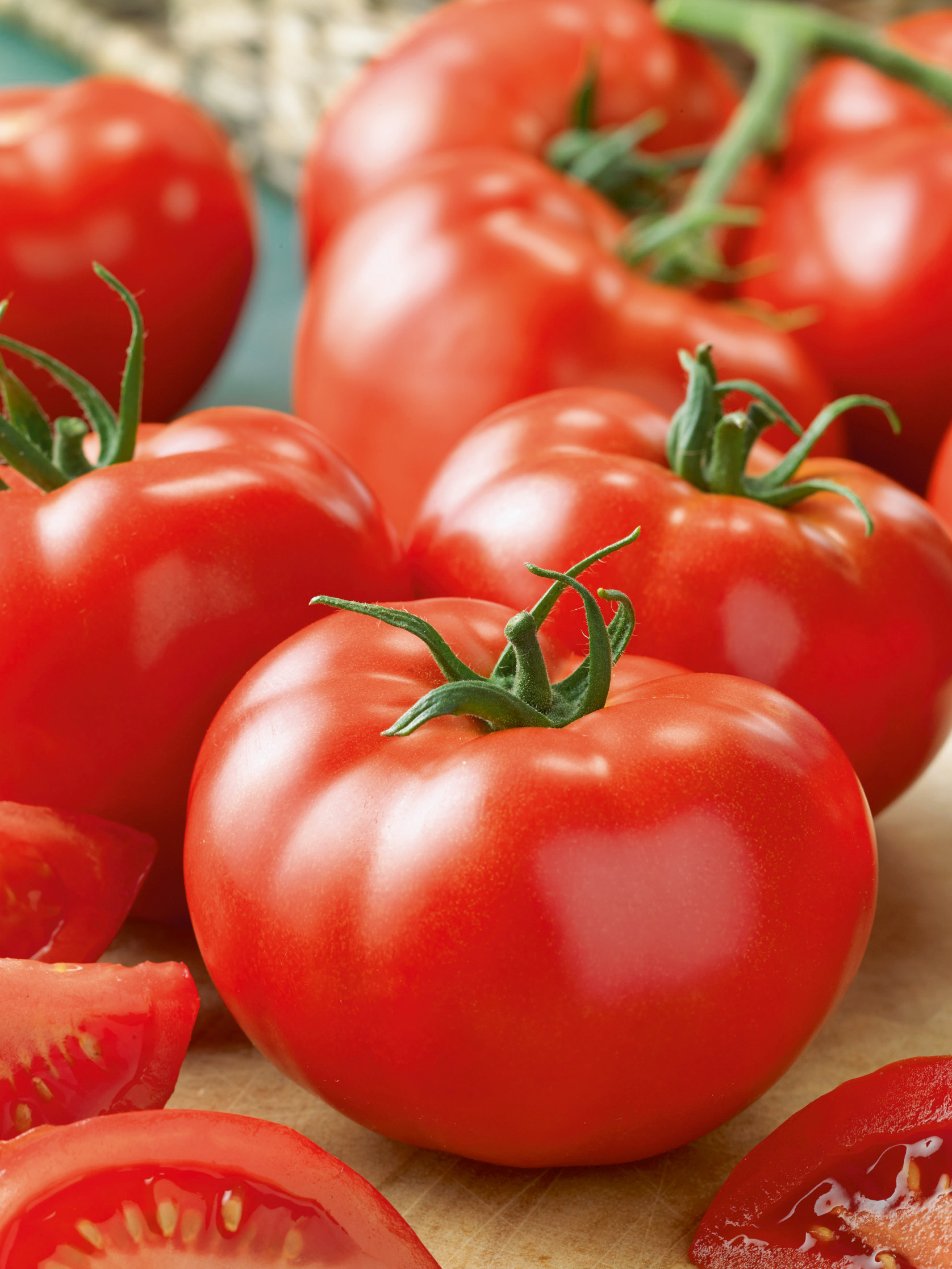 Tomaten Fandango F1