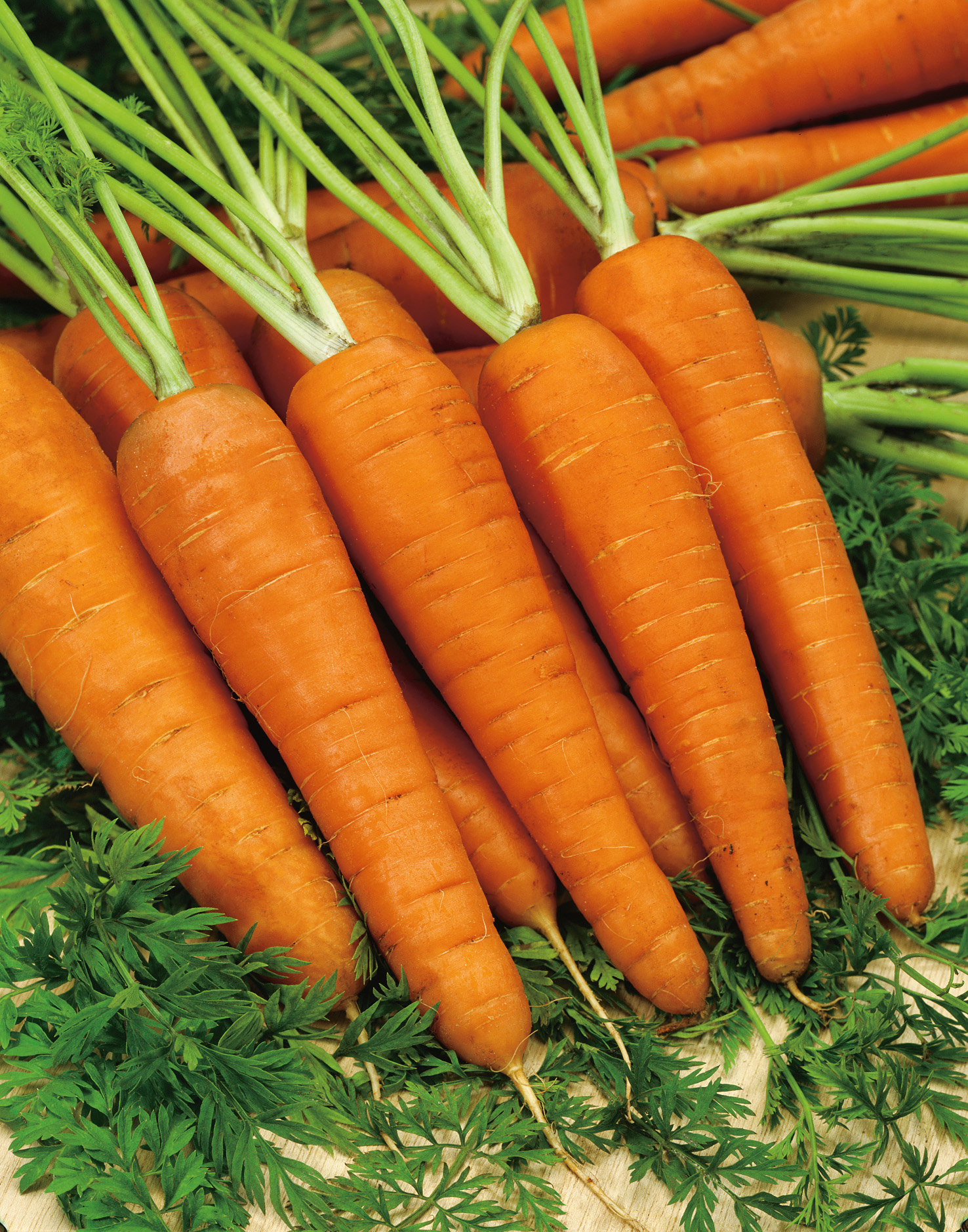 Möhren (Pillensaat) Juwarot